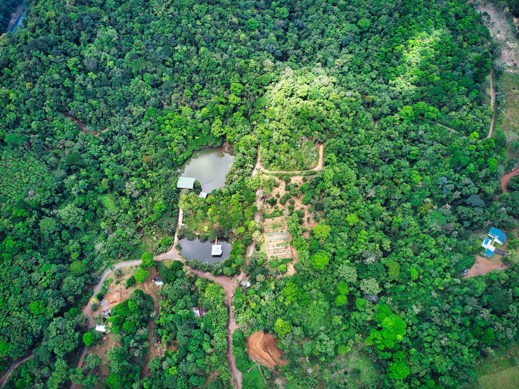 An aerial view of Arbor Eden’s forest, clearings and homes