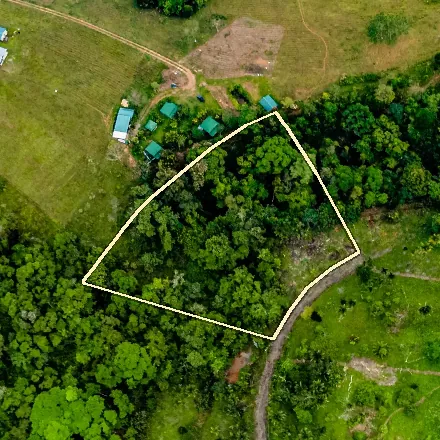 Parcel 6 seen from above by drone, boundary drawn approximately