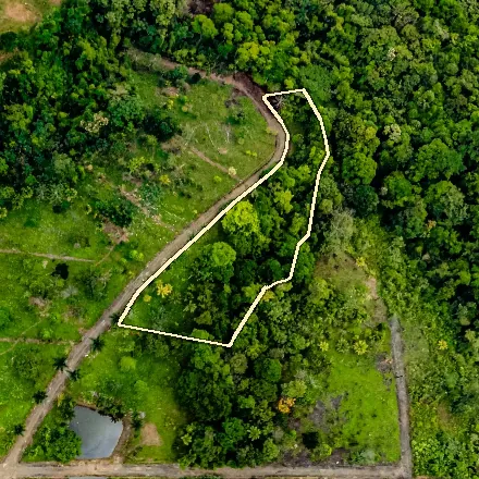 Parcel 21 seen from above by drone, boundary drawn approximately
