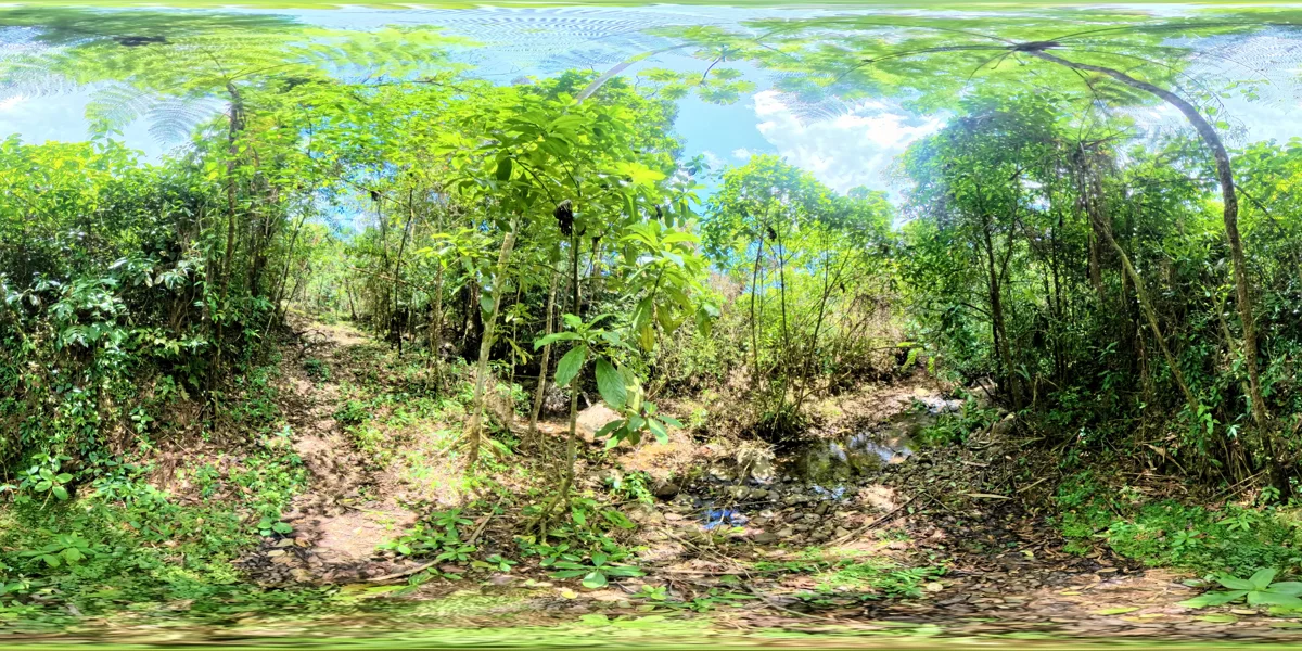 Panoramic reference view for parcel 1