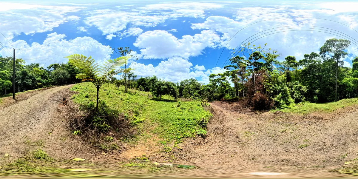 Panoramic reference view for parcel 2