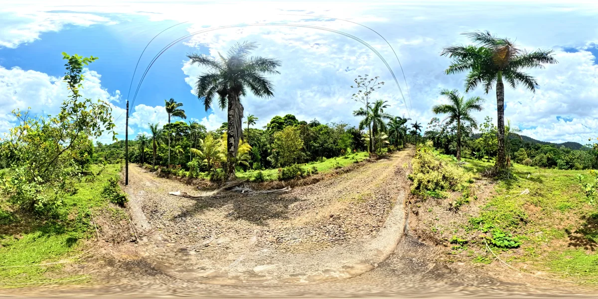 Panoramic reference view for parcel 4