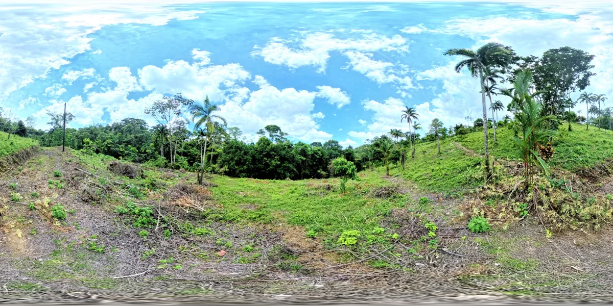 Panoramic reference view for parcel 5