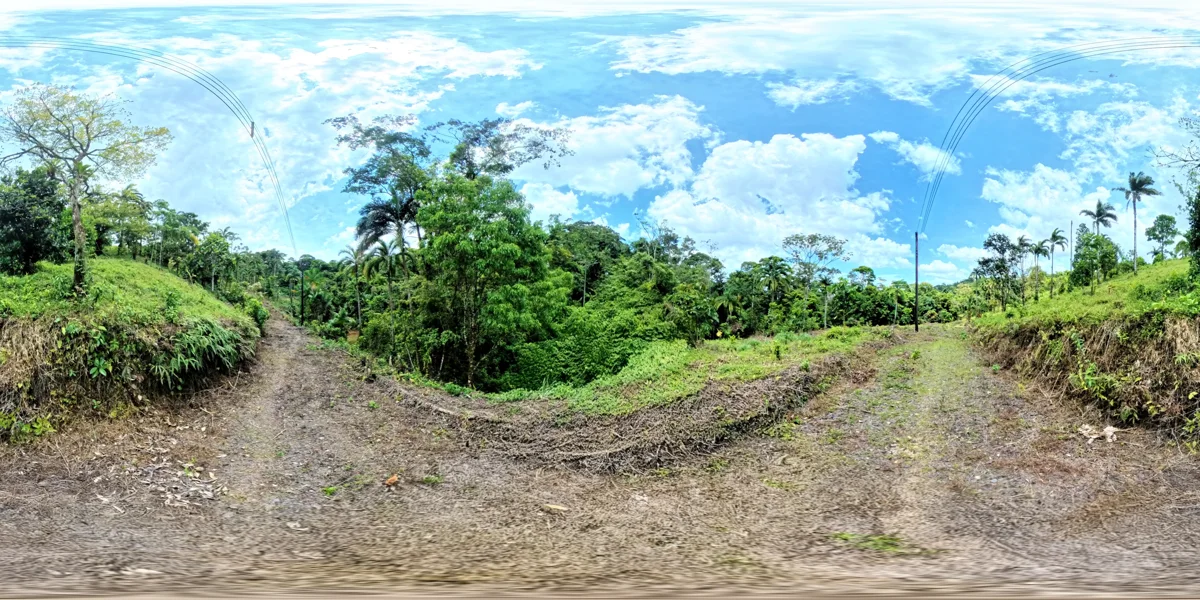 Panoramic reference view for parcel 6