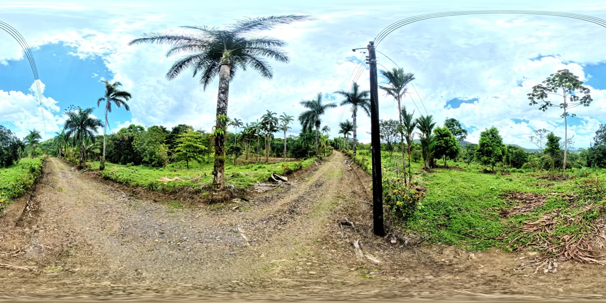 Panoramic reference view for parcel 7