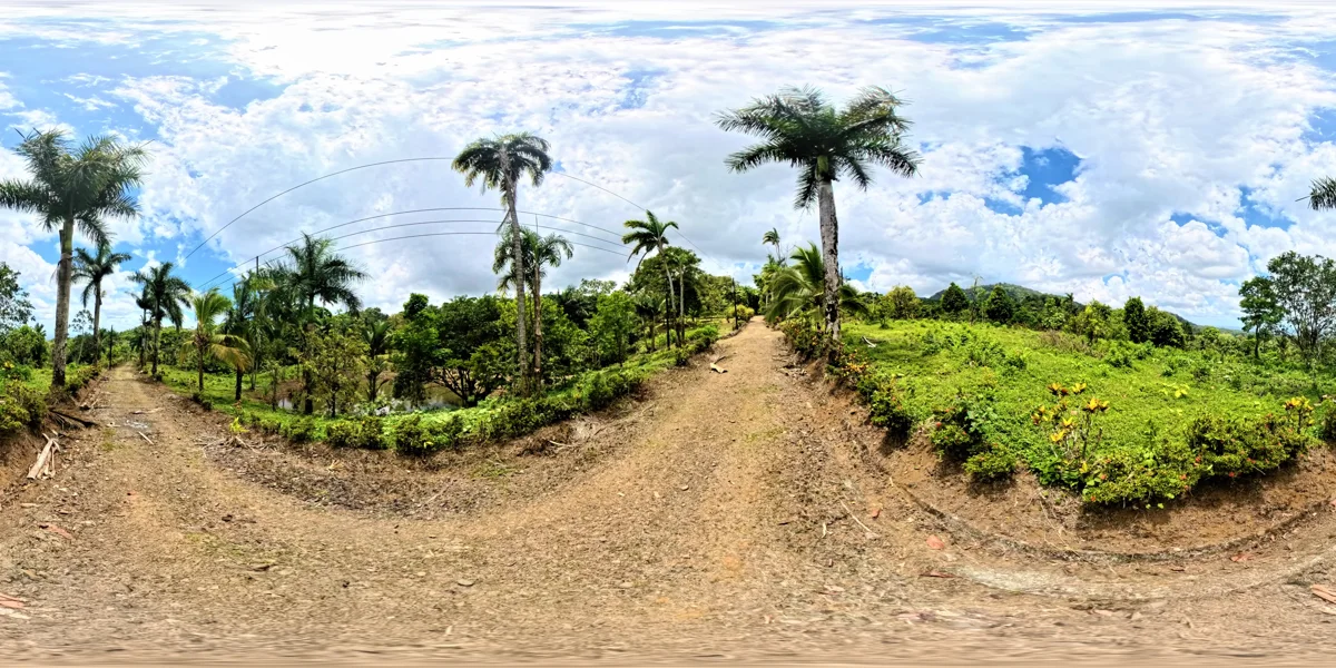 Panoramic reference view for parcel 8