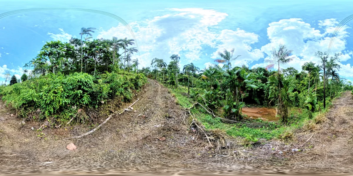 Panoramic reference view for parcel 9