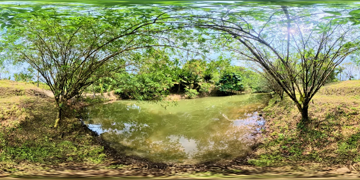 Panoramic reference view for parcel 12