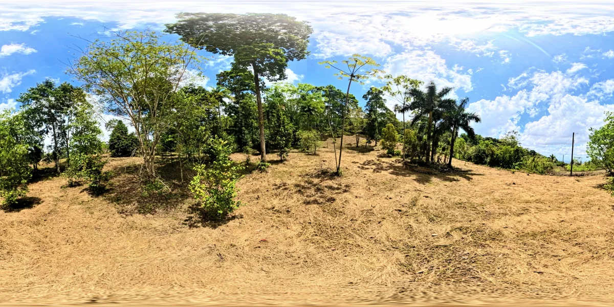 Panoramic reference view for parcel 14