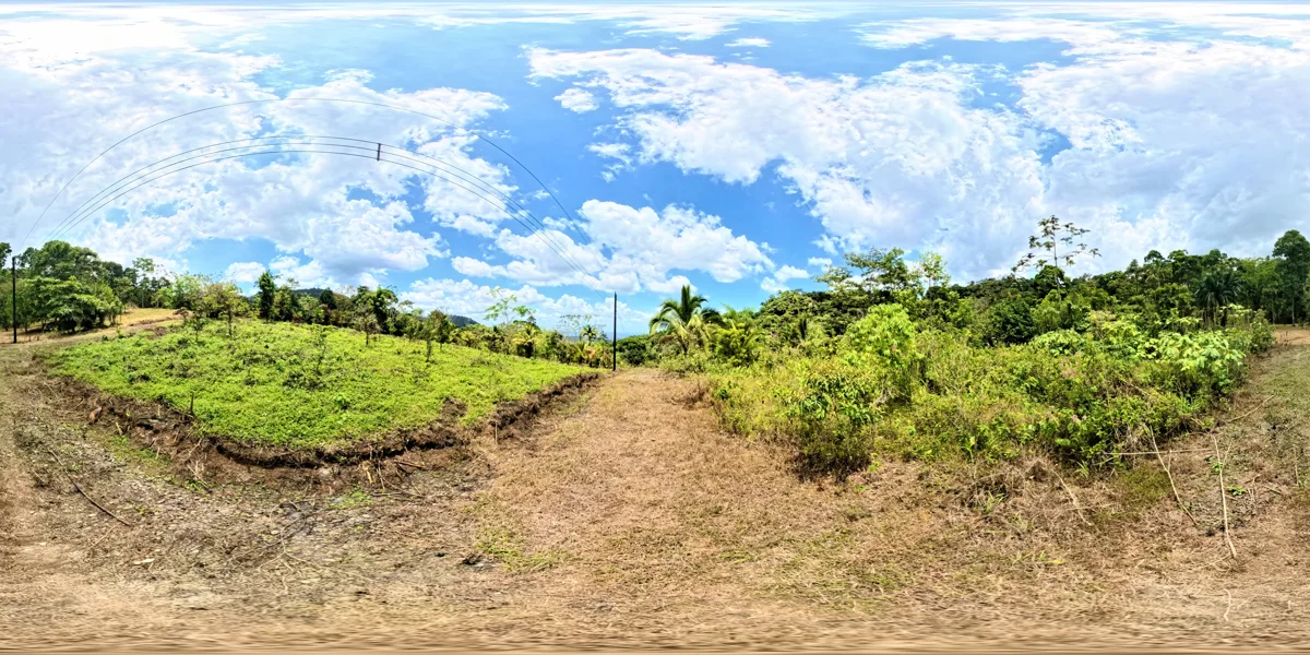 Panoramic reference view for parcel 15