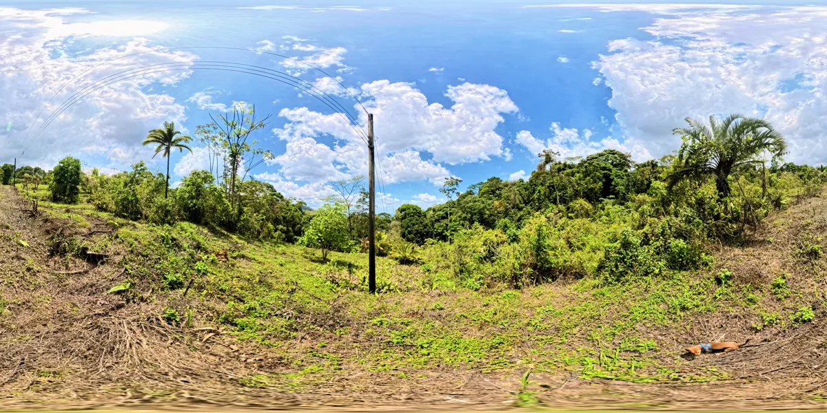 Panoramic reference view for parcel 17