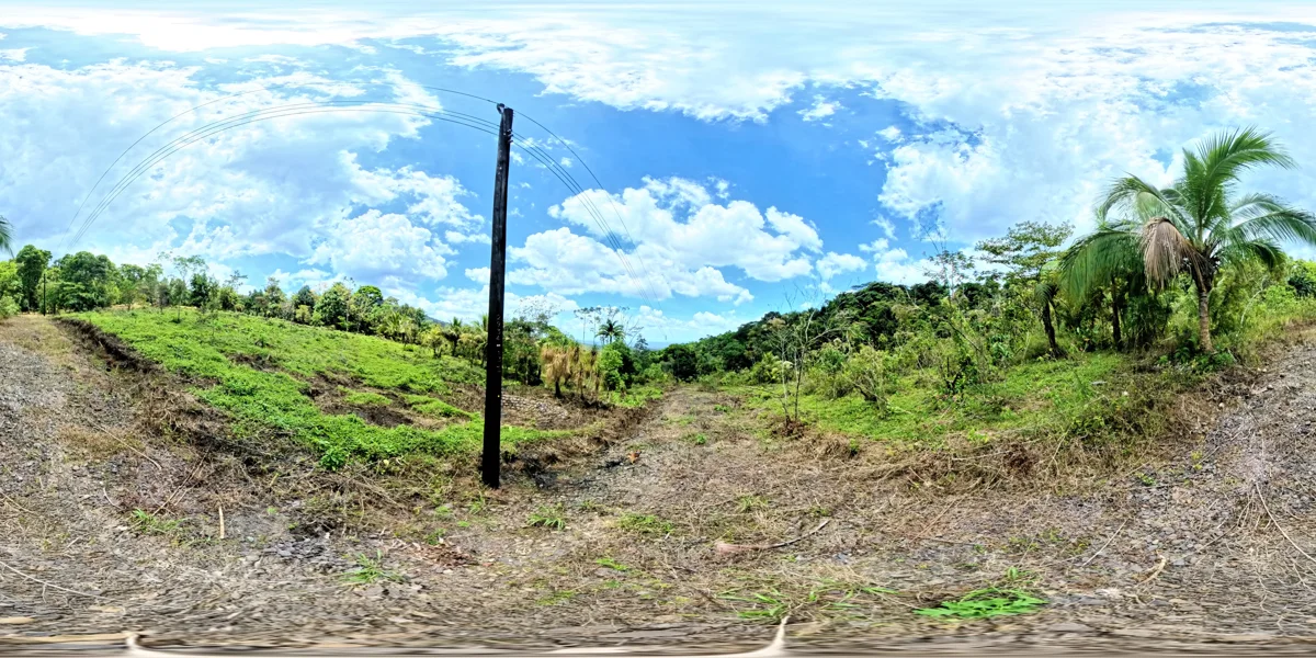 Panoramic reference view for parcel 19