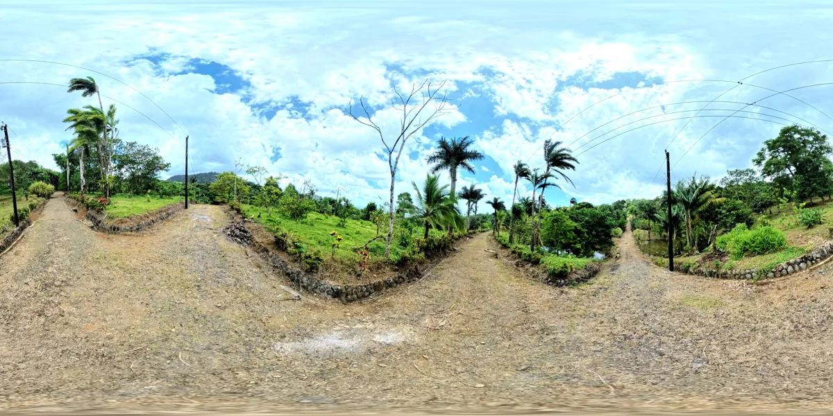 Panoramic reference view for parcel 20