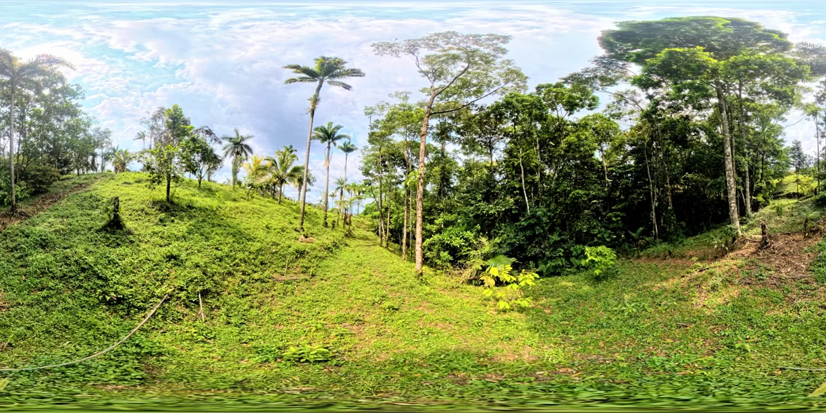 Tour reference panorama associated with parcel 21