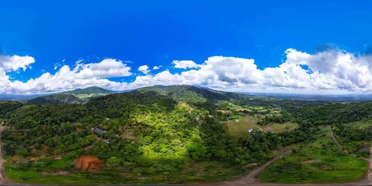 Panoramic reference view for parcel 22