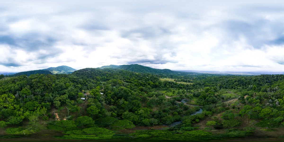 Panoramic reference view for parcel 24