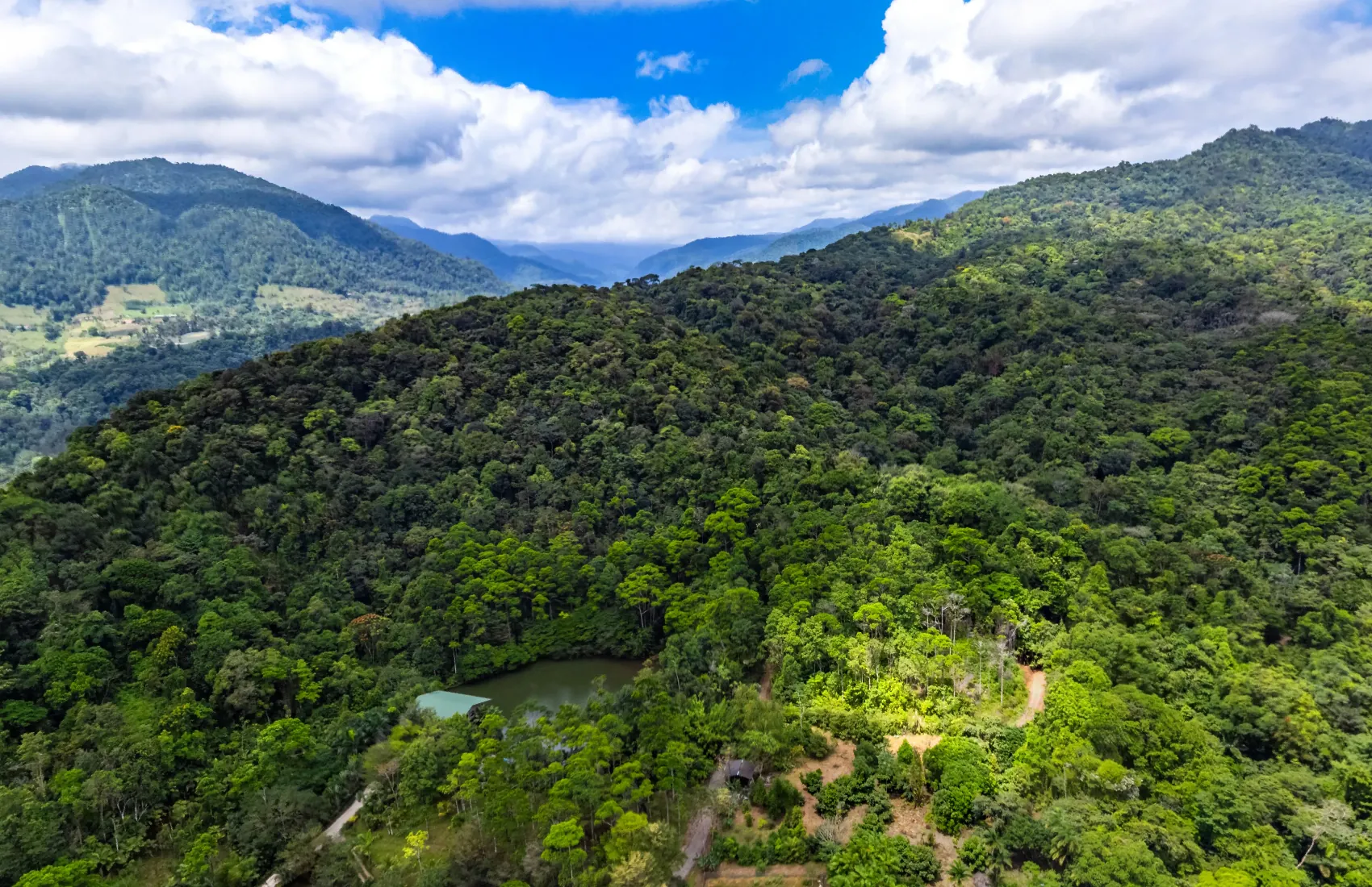Forest canopy and a pond at Arbor Eden with mountains behind