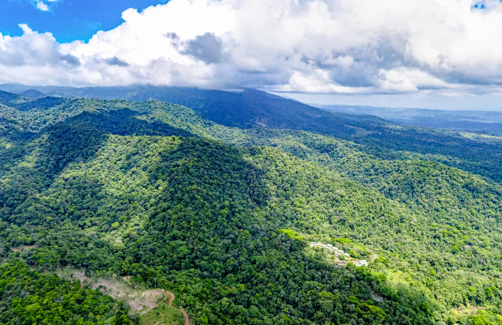 Forested ridges and cloud-capped mountains