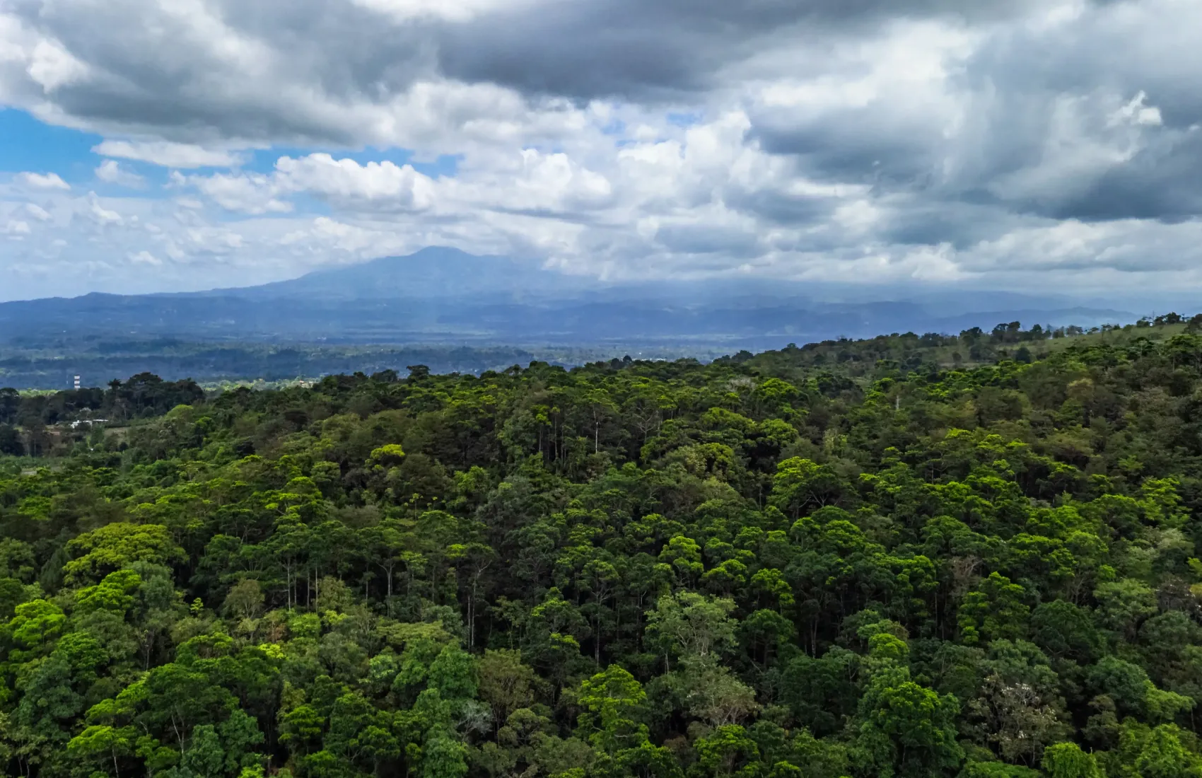 A volcano on the horizon beyond forest, seen by drone above Arbor Eden